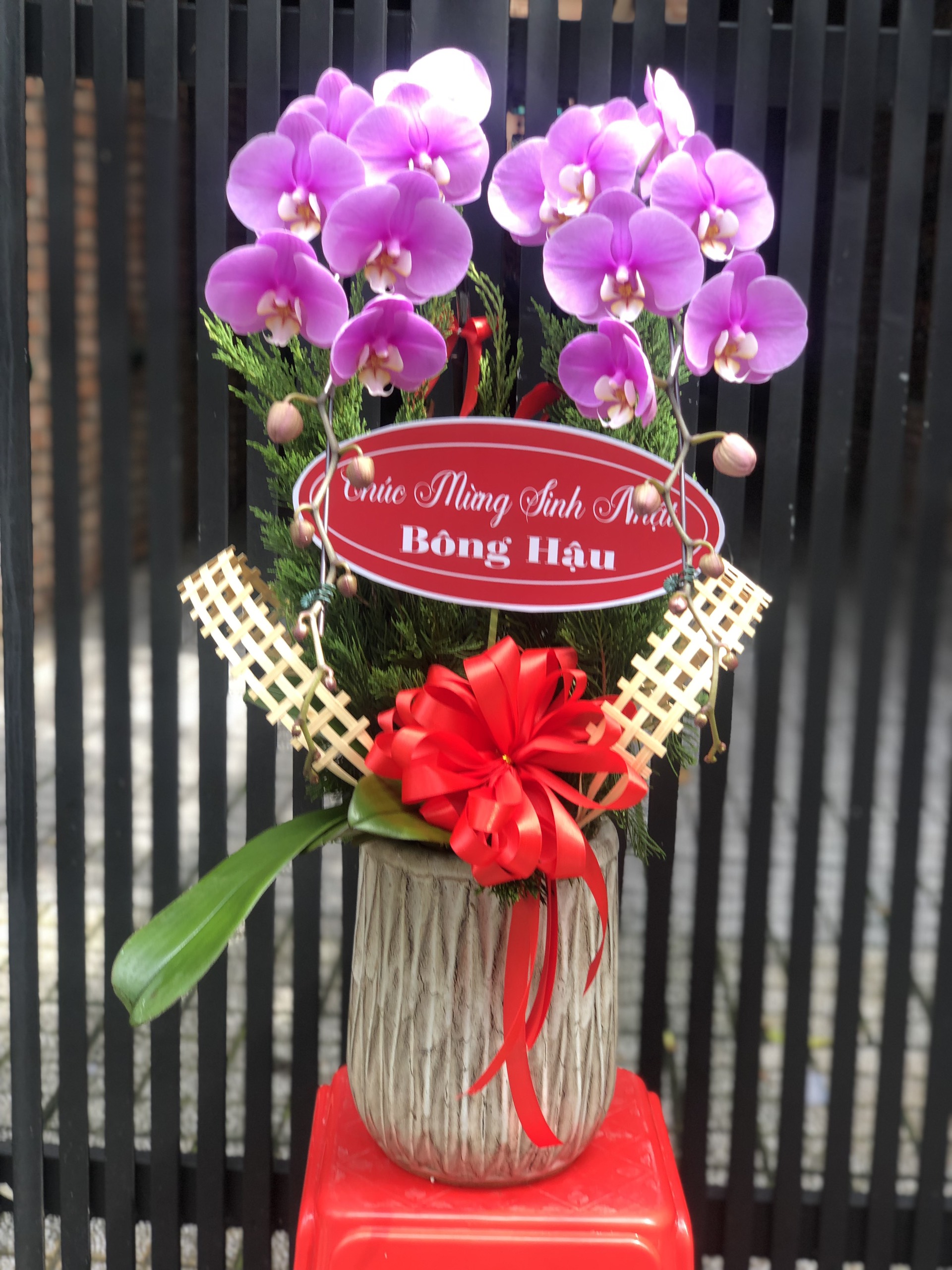 Hoa Lan Sinh Nhật 00122